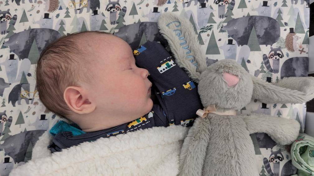 Personalised Plush Bunny Rabbits for children and babies. Floppy ear Rabbit for Easter or Birth. Customise text and colours. Embroidered ear