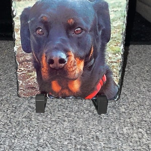 Emily added a photo of their purchase