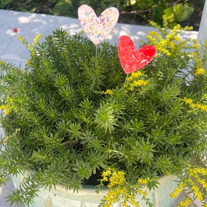Sara added a photo of their purchase