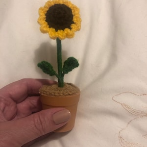 Amanda added a photo of their purchase