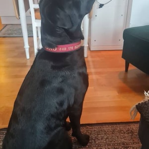 Charlotte added a photo of their purchase