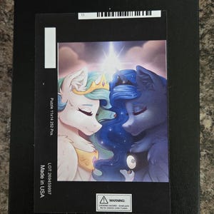 Ross added a photo of their purchase