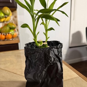 Yajaira added a photo of their purchase