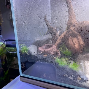 Sara added a photo of their purchase