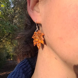 Scruffy added a photo of their purchase