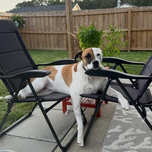 Exward added a photo of their purchase