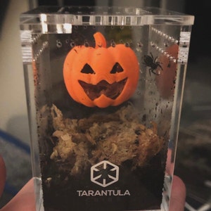 April added a photo of their purchase