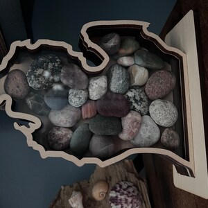 Shark Teeth florida Shadow Box - Iap 300x300.5101504106 Mz8h0x1z