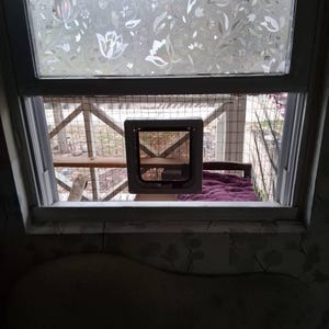 Myrna added a photo of their purchase
