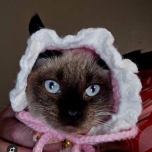 Stephanie added a photo of their purchase