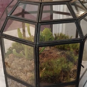Anna a ajouté une photo de son achat
