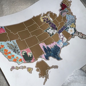 Samantha added a photo of their purchase