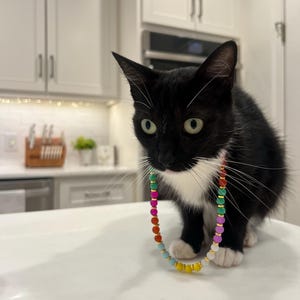 Mary hat ein Foto des gekauften Artikels hinzugefügt