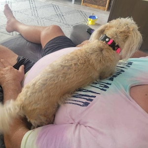 rebecca heeft een foto van zijn/haar aankoop toegevoegd