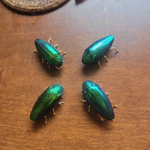 Anna added a photo of their purchase