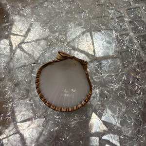 Sandra added a photo of their purchase