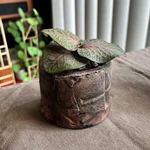 Armin added a photo of their purchase