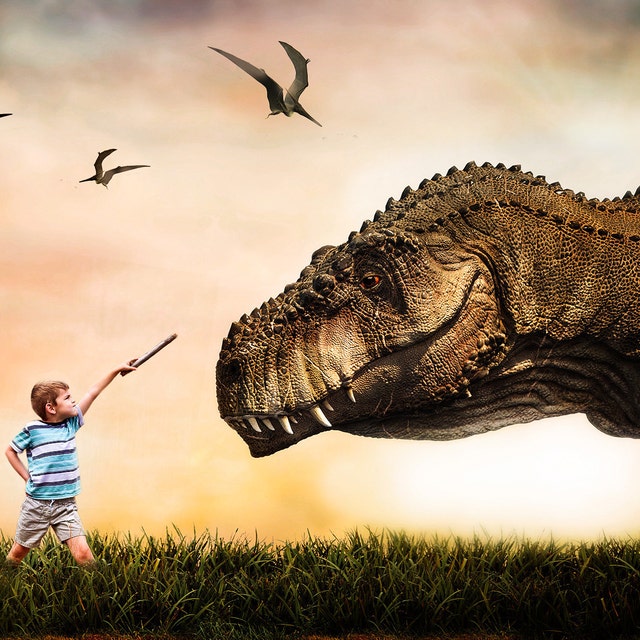 Fotohintergrund Dinosaurier-Motiv – 3D Vinyl-Hintergrund Für Studio & Party