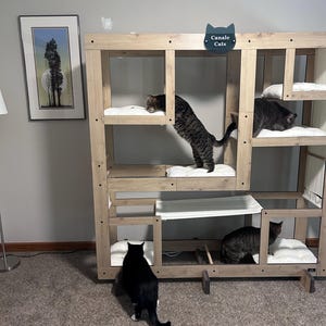 Dcanale added a photo of their purchase