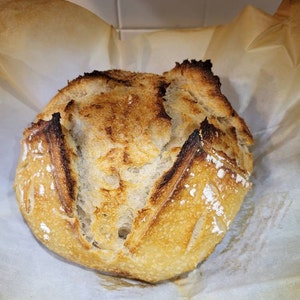 Gluten Free Sourdough Starter Maintained With GF King Arthur - Etsy