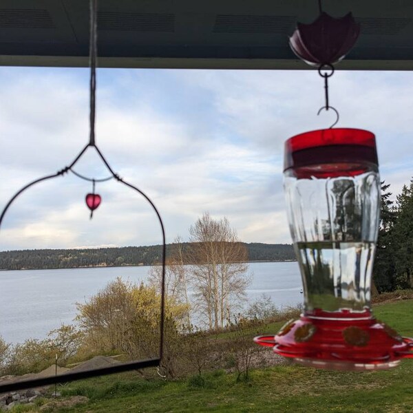 HUMMING BIRD アウトドア用品 楽天市場】HUMMINGBIRD ハミングバード（スポーツ・アウトドア