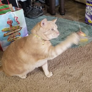 Gretchen added a photo of their purchase