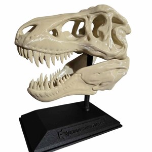 T-Rex の頭蓋骨 3D プリント STL ファイル: 恐竜の化石レプリカ