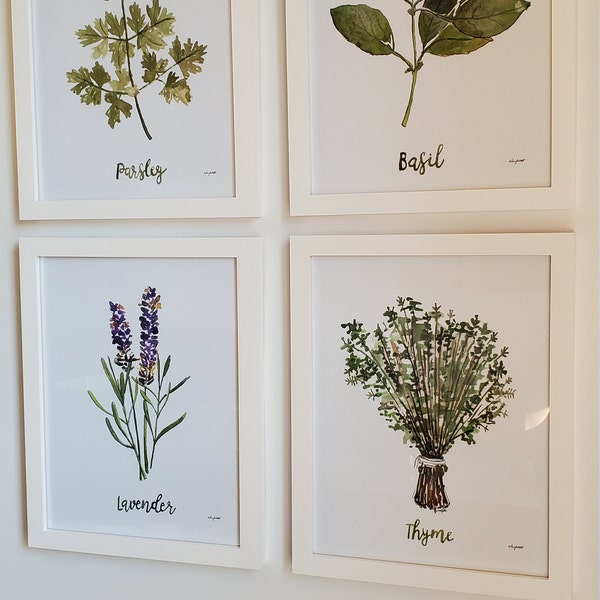 Herbs Set of 4 Watercolor Painting, Kitchen Prints, Sage Thyme Rosemary ...
