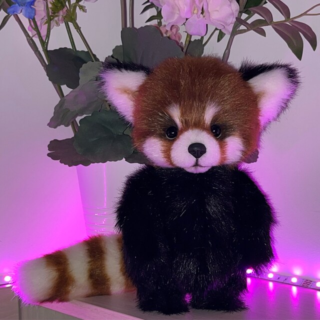 dotipottiレッサーパンダ テディベアアーティスト ゆーや🧸テディベアアーティスト🧸 on X: 