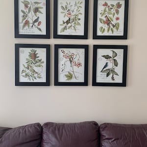 Acquirente Etsy ha aggiunto una foto del proprio acquisto