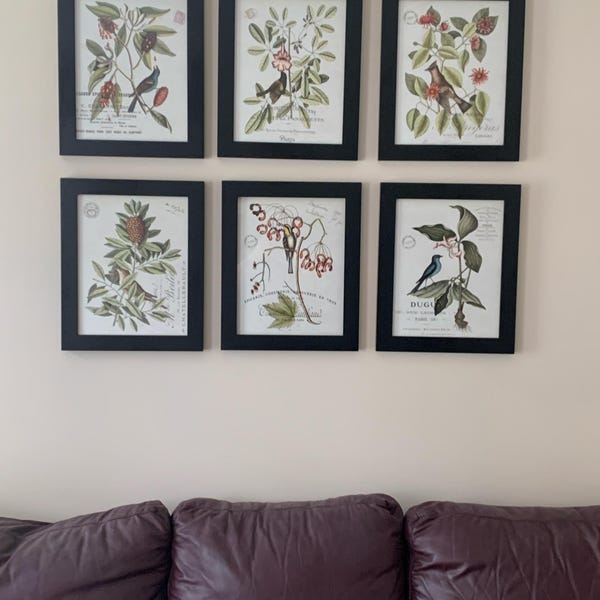 Vintage Bird and Botanical Print Set No.2, Giclee, Art Prints, Vintage ...