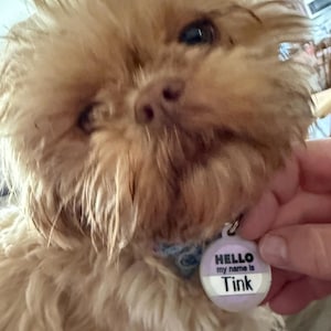 Lynn added a photo of their purchase