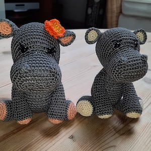 Ramona added a photo of their purchase
