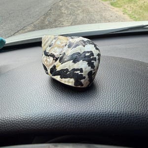 Kyanna added a photo of their purchase
