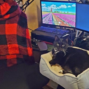 Dave added a photo of their purchase