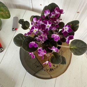 Elizabeth added a photo of their purchase
