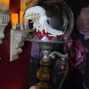 Melissa added a photo of their purchase