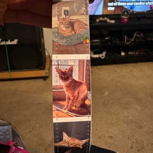 Carolina added a photo of their purchase