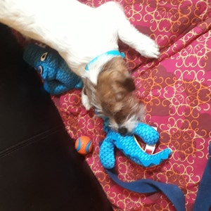 Susan added a photo of their purchase