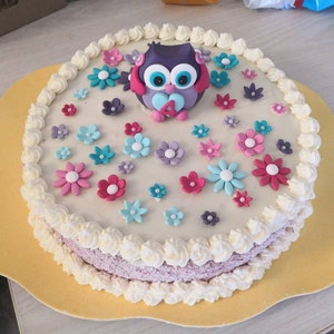 Edible 3d Fondant Cute Owl Cake Topper Birthday Cake Etsy