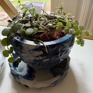 Kate added a photo of their purchase