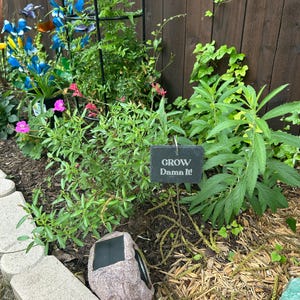 DeAnn added a photo of their purchase