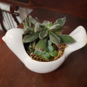 Etsy のお客さま さんが購入した商品の写真を追加しました