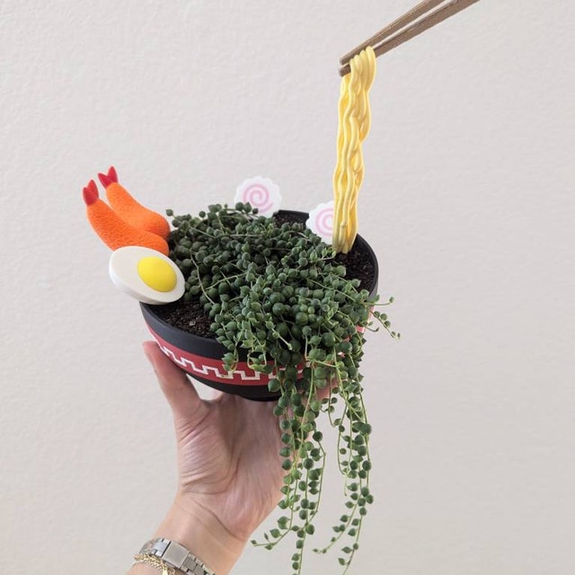 Japanese Ramen Bowl Planter | Floating Noodles and Topping