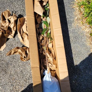 H added a photo of their purchase