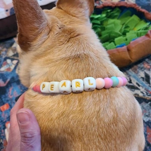 Anthea added a photo of their purchase