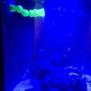 Jeremy added a photo of their purchase