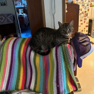 Tabitha added a photo of their purchase