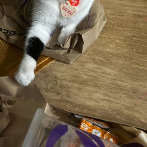 Cat added a photo of their purchase