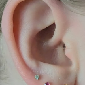 Sara added a photo of their purchase